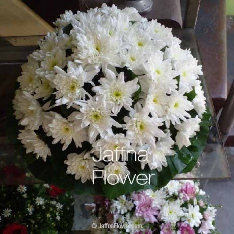  White Casket Flowers